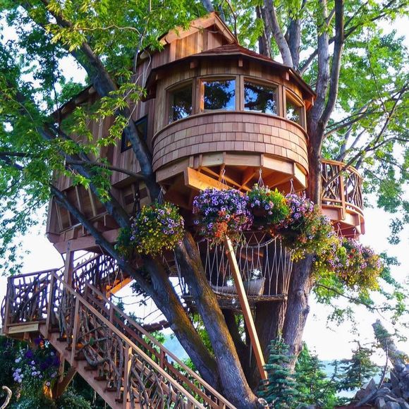 Meet your friend , Christopher - Picture 1 of 1